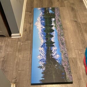 a painting with wall mounts